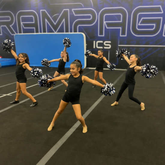 Rampage Rec Poms Rampage Rec Poms
